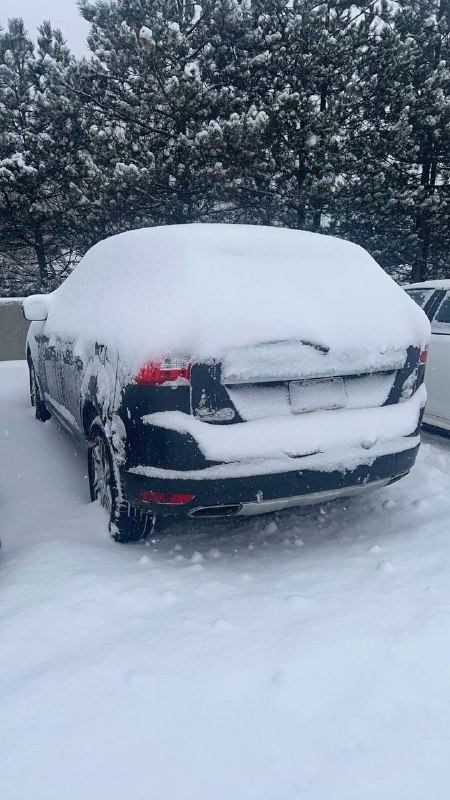 好大的雪！！首先我们进行第一步，把车挖出来 #life好大的雪！！首先我们进行第一步，把车挖出来 #life