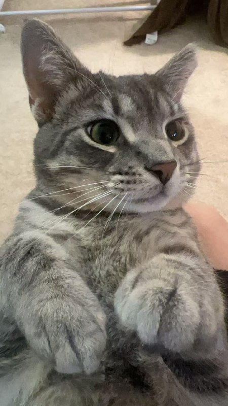 人，花生什么树了 @life