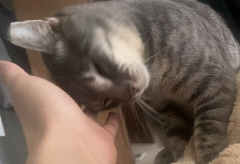 他不是爱我，他只是饿了 😡😡😡 #life