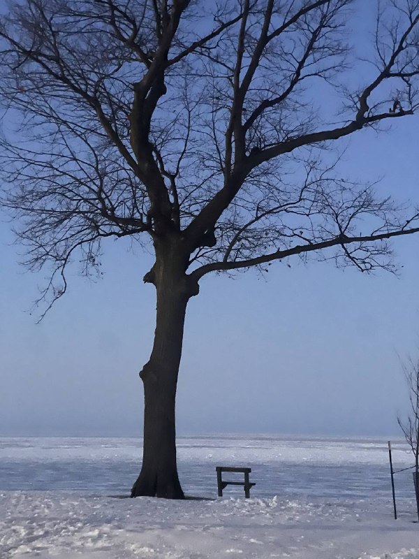 结冰的伊犁湖 #life结冰的伊犁湖 #life