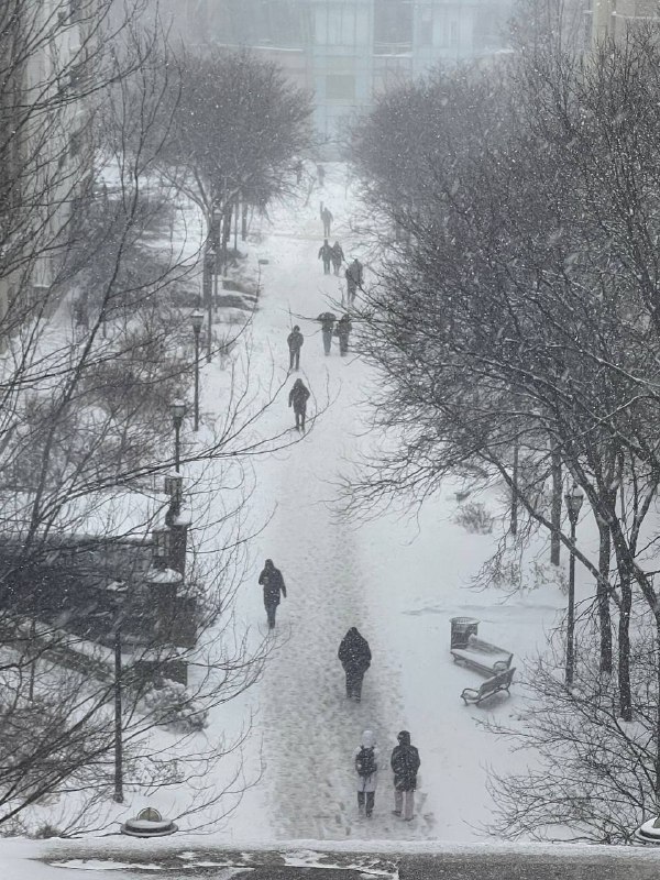 今天下大雪，许多课程今日线上，同时学校通知四点下班