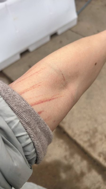 Cuff 实验有点费人 #research