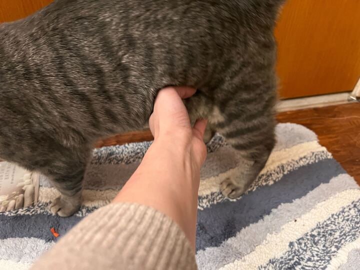 Soft belly!!! Goodbye Kiwi and see you next week:) #life